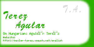 terez agular business card